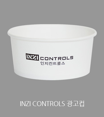 INZI CONTROLS 